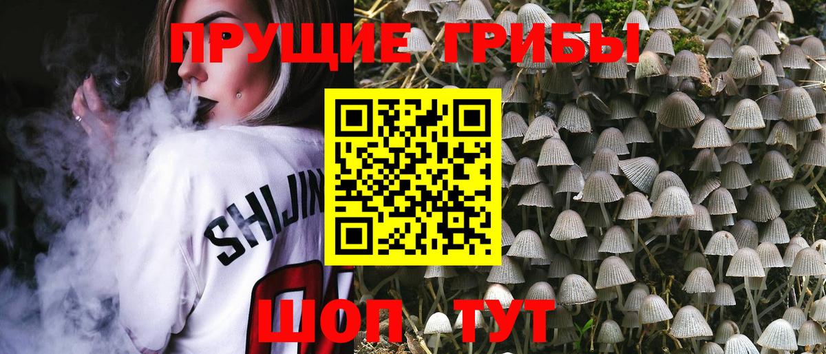 Югорск  Галлюциногенные грибы ЛСД  Вход с VPN 